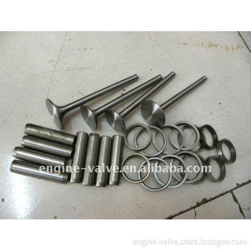 BEDFORD Auto Parts Valve Guide 07213126 8813496 09292660 09292661 09292324 09292325